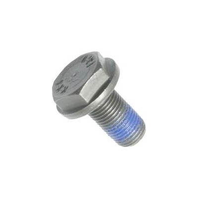 Šroub setrvačníku M10x1x19.5mm Škoda WHT009656 Škoda Citigo, Fabia 2, Octavia 2, Superb 2, Yeti, Roomster, Rapid, Octavia 3, Fabia 3, Superb 3, Karoq, Scala, Kamiq, Octavia 4, Fabia 4, Superb 4
