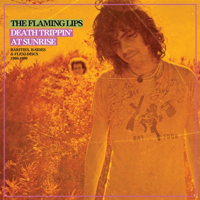 FLAMING LIPS: RARITIES COMPILATION LP