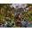 SunsOut - Puzzle King of the Forest 1000 - 1 000 piese
