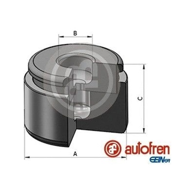 Piest brzdového strmeňa AUTOFREN SEINSA D025565
