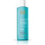 Moroccanoil Шампоан за балансиране на скалпа - Moroccanoil Scalp Balancing Shampoo 250 ml
