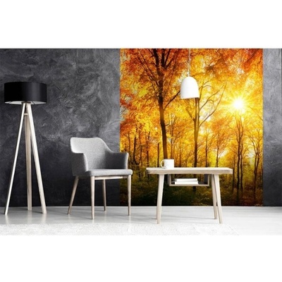 DIMEX ART Флизелинов фототапет слънчева гора 225 x 250 см