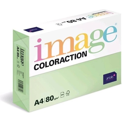 Papír Coloraction A4 160 g 250 Forest pastelově zelená MG28
