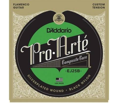 D'ADDARIO EJ25B