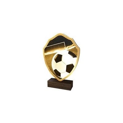 Poháry Bauer Dřevěná plaketa TFRW002 Fotbal