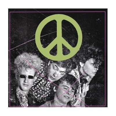 FLAMING LIPS, THE - SCRATCHING THE DOOR: THE FIRST RECORDINGS OF THE FLAMING LIPS CD