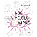 Noc v Mejdlovarně