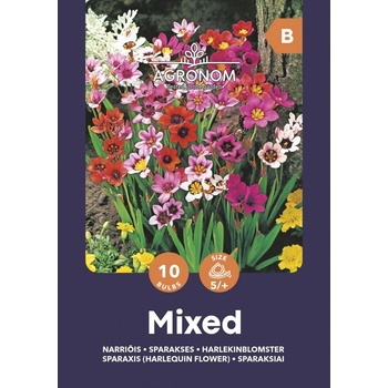 Seklos Спараксис Микс Sparaxis Mixed - 10 бр луковици