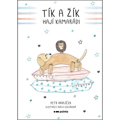 Tík a Žík, hají kamarádi - Petr Havlíček, Adéla Sedláková ilustrátor