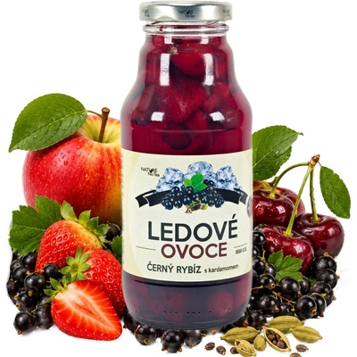 Nature Notea Ledové ovoce Ostružina s kardamonem 330 ml