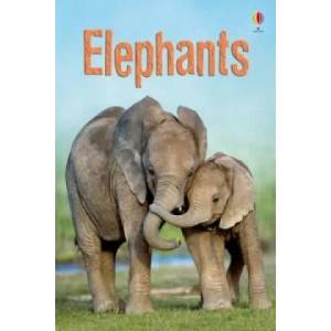 Elephants | James Maclaine (2011)