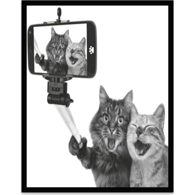 Bondecor Obraz černobílý "Kočky selfie" 24x30cm Barva: Bílá