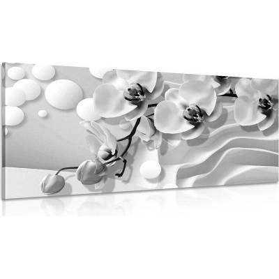 Obraz černobílá orchidej na abstraktním pozadí - 100x50