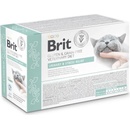 Brit VD Cat Fillets in Gravy Urinary & Stress Relief 12 x 85 g