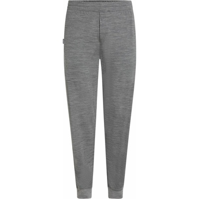 Icebreaker Mens Merino 200 Shifter Pants Metro Heather
