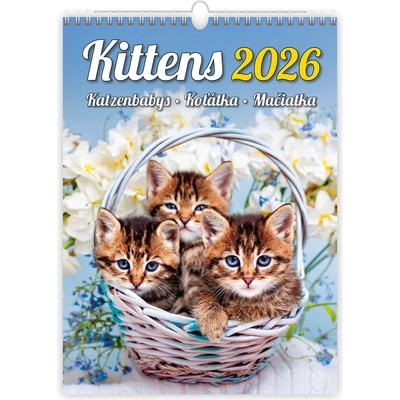 Helma nástěnný Kittens/Katzenbabys/Koťátka/Mačičky 24 × 33 cm 2026