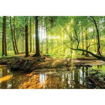 IMPOL TRADE 10513 V4 Vliesové fototapety les a potok, rozměr 254 cm x 184cm