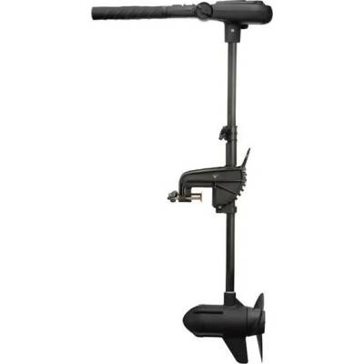 Haswing Protruar 2.0 12V 85LB