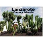 Calvendo Lanzarote - Canary Islands (Wall Calendar 2026 DIN A4 landscape), CALVENDO 12 Month Wall Calendar | Calvendo, Peter Schneider