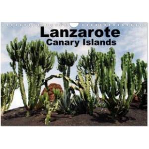 Calvendo Lanzarote - Canary Islands (Wall Calendar 2026 DIN A4 landscape), CALVENDO 12 Month Wall Calendar | Calvendo, Peter Schneider