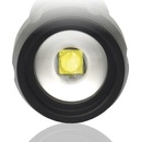 EverActive FL-300