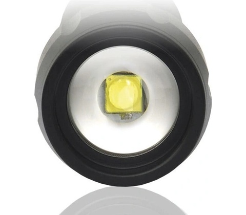 EverActive FL-300