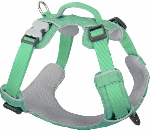 Red Dingo postroj Sport