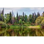 DIMEX ART Флизелинов фототапет езерен пейзаж с река 375 x 250 см