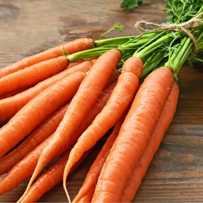 BIO mrkva Laguna F1 - Daucus carota - bio semená mrkvy - 200 ks