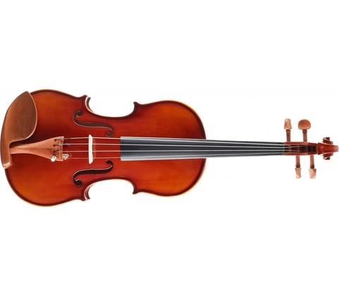 Bacio Instruments GV103F