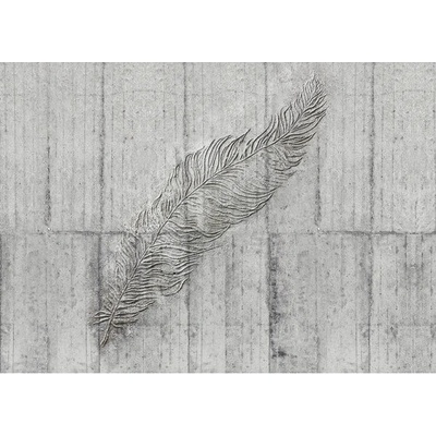X7-1023 Fototapeta vliesová Concrete Feather rozměry 350x250 cm