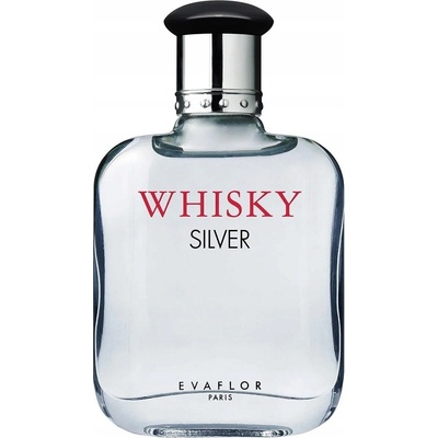 Evaflor Whisky Silver toaletní voda pánská 100 ml