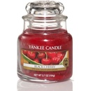 Svíčky Yankee Candle Black Cherry 104 g