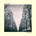 FEELIES - IN BETWEEN LP