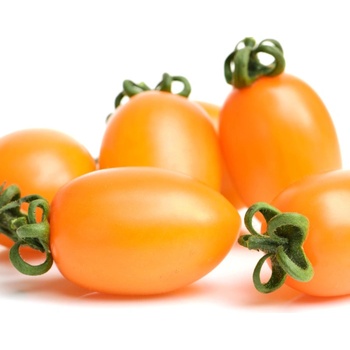 Paradajka Datlo - Solanum lycopersicum - semená paradajok - 10 ks