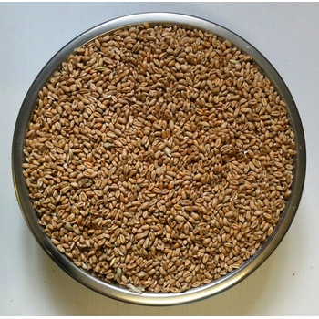 ZS Dynín Pšenice krmná zrno 25 kg