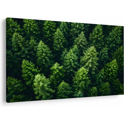 Obraz - Les, jednodielne 150x100 cm