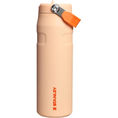 STANLEY 1913 Flip Straw 2.0 Drinking Bottle with Straw 0.7L - Thermal Mug Cools for 10 Hours - 3 Days Ice Cold - BPA Free - Leakproof - For Drink Holders - Dishwasher Safe - Orange Sherbert - 100000127824