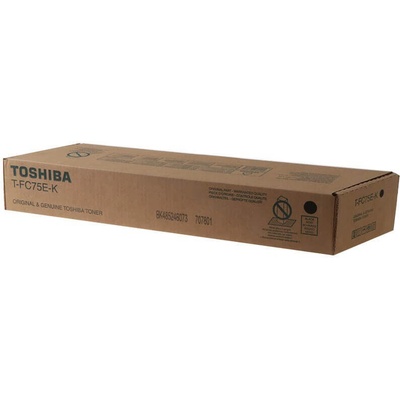 Toshiba T-FC75EK - originálny