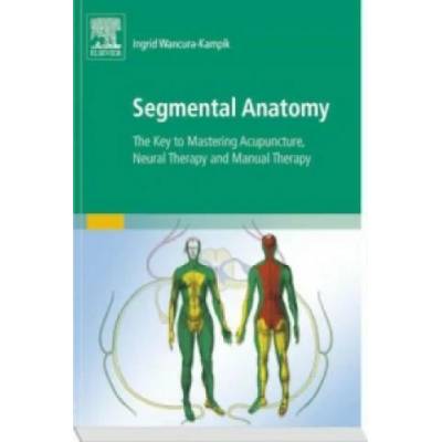 Segmental Anatomy | Ingrid Wancura-Kampik