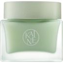 Kaine Green Calm Aqua Cream Zklidňující krém redukující začervenání pleti 70 ml