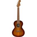 Fender Rincon