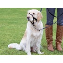 Trixie dog TOP TRAINER 28 cm M