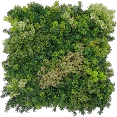 Moss coral mix 2, dielec 50 x 50 cm