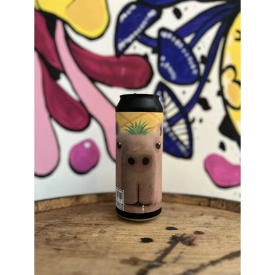 Twinberg Capybara fruta 11° 0,5 l (plech)