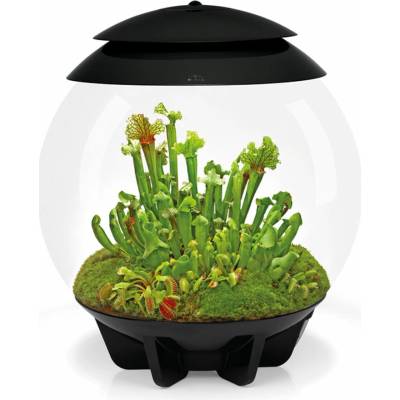 BiOrb Air Terrarium černé 30 l
