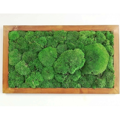 Mechový obraz- kopečkový mech 60cm x 100cm