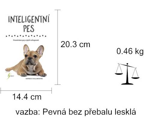 Inteligentní pes