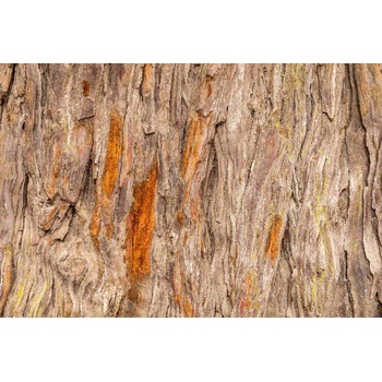 DIMEX ART s. r. o Флизелинов фототапет текстура на старо дърво 375 x 250 см