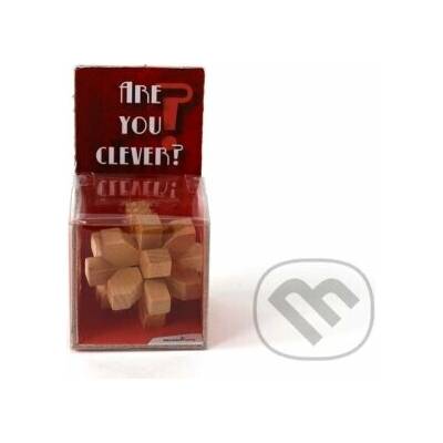 Recenttoys Hlavolam - Are you Clever
